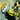 Iowa Hawkeyes "Vintage Herky the Hawk" | Archival-Grade Art Print by Brandon Thomas