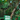 The Masters "Lone Palm" from Augusta National | Archival-Grade Art Print by Brandon Thomas
