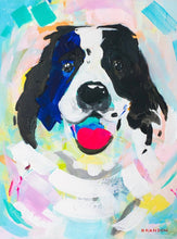 Load image into Gallery viewer, English Spaniel or Bernese or Aussie Dog D008 | Archival-Quality Print
