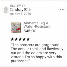 Load image into Gallery viewer, University of South Carolina Gamecocks &quot;Cocky&quot; 4-Pack Water-Resistant Glazed Coasters
